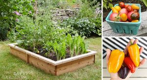 The Best Designs To Grow Your Garden