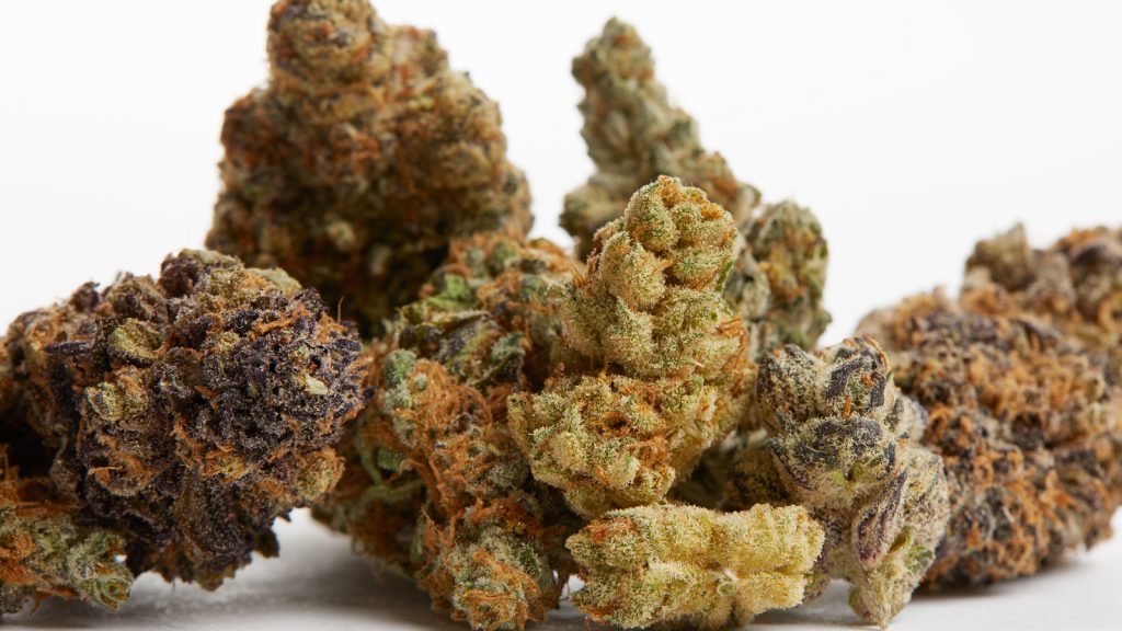 cbd flower