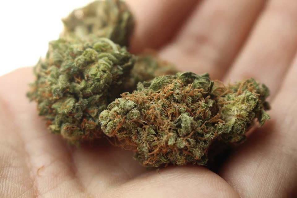 delta 8 flower for sale