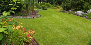 What are the essential tools and equipment needed for DIY landscaping?